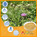 High quality Health Care Product Beta ecdysterone Leuzea Extract Rhaponticum Carthamoides Extract Powder                        
                                                Quality Choice